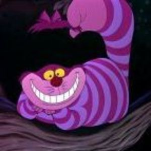 Meet your Posher, Delores